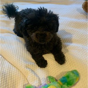 I’m going to get rid of some of my closet